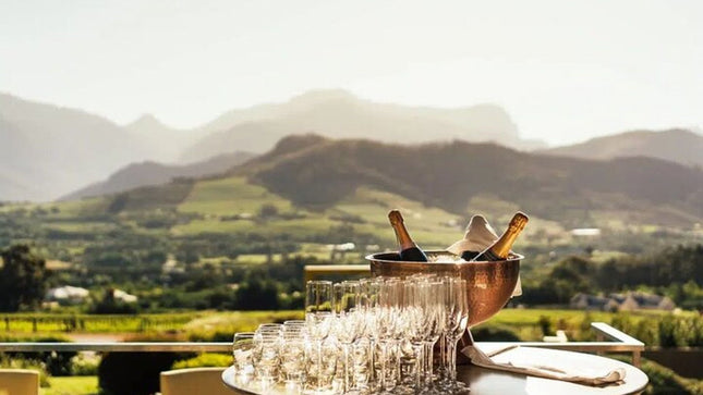 Private Tour of 3 Top Winelands with Wine Tasting from Cape Town