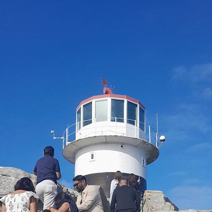 Cape of Good Hope Tour by Bus