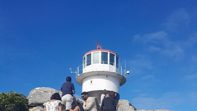 Cape of Good Hope Tour by Bus