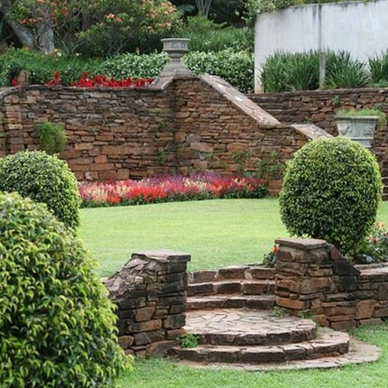 Half-Day Private Sightseeing Tour of Durban