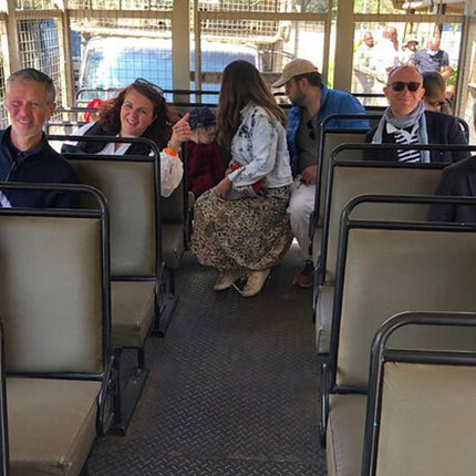 Unforgettable Lion Safari Adventure from Johannesburg