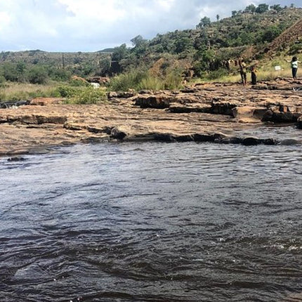 7 Days Kruger National Park Private Tour