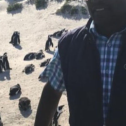 Cape Point & Boulders Beach Private Tour with Penguin Encounter