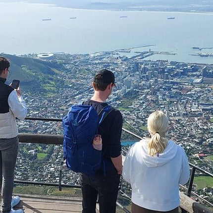 Table Mountain, Cape of Good Hope, Penguins and Sightseeing tour