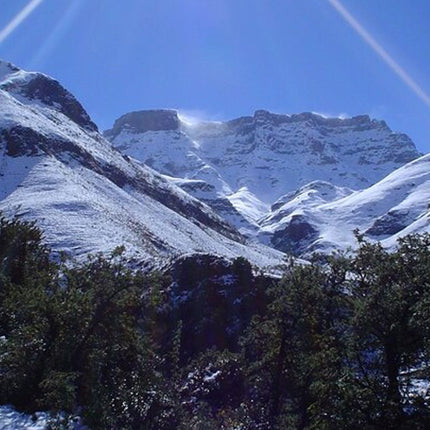 Sani Pass Day Tour from Durban
