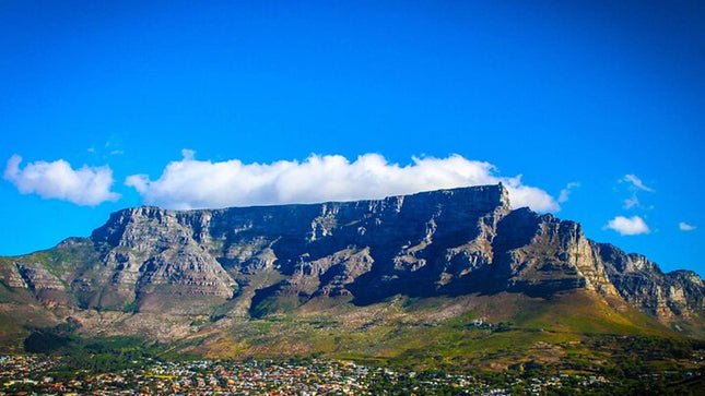 Full Day Constantia Wine Tasting and Table Mountain
