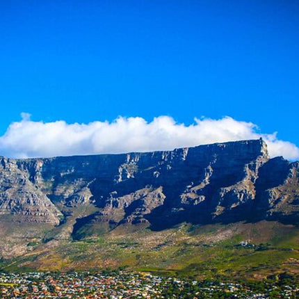 Full Day Constantia Wine Tasting and Table Mountain