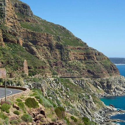 Private Tour to Robben Island and Cape Point in Cape Town