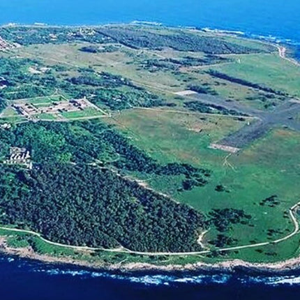 Robben Island Museum Half-Day Tour. Including all tickets.