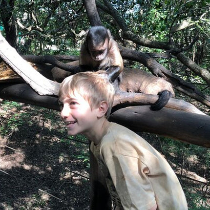 Elephant & Monkey Sanctuary Tour from Johannesburg