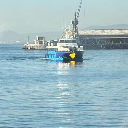 Robben Island Museum Half-Day Tour. Including all tickets.