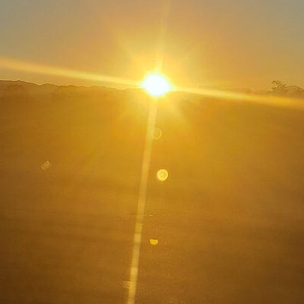 Sunset Safari Big 5 Aquila with Snacks and Wine Tasting