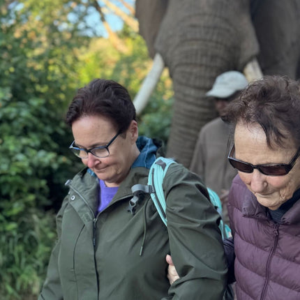Elephant Sanctuary Tour from Johannesburg