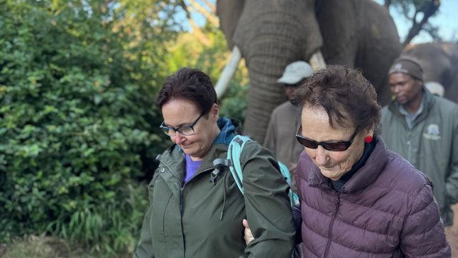 Elephant Sanctuary Tour from Johannesburg