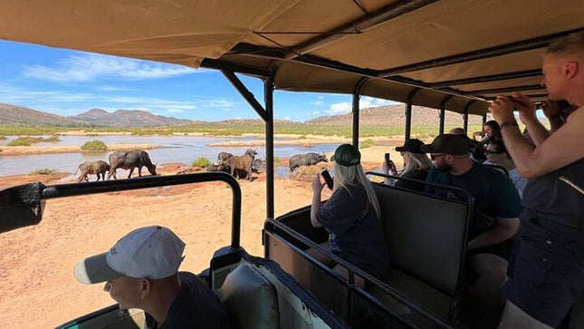Early Morning Safari Big Five Experience