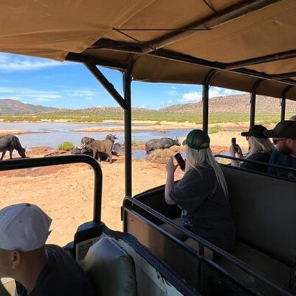Early Morning Safari Big Five Experience