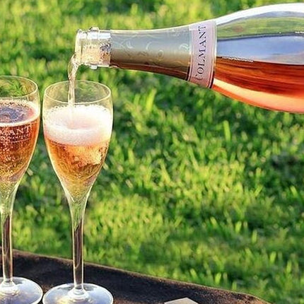 Cape Town Private Tour Robben Island and Constantia Wine Tasting