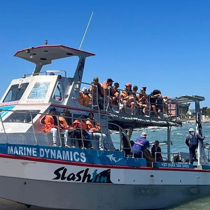 Whale Watching in Hermanus: Must-Do Activity in Cape Town, SA
