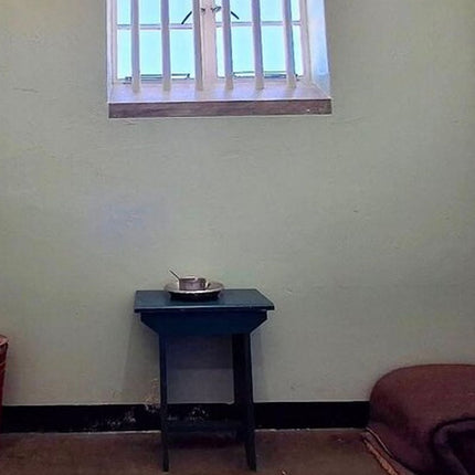 Robben Island Adventure with Pre-Booked Tickets Full Tour