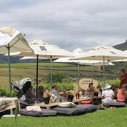 Private Full Day Stellenbosch Wine Tour