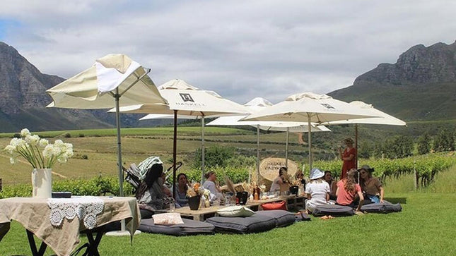 Private Full Day Stellenbosch Wine Tour