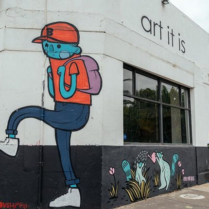 Cape Town Private City Tour: Off the Beaten Track with Local