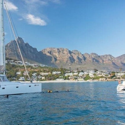 Midday Cruise in Cape Town