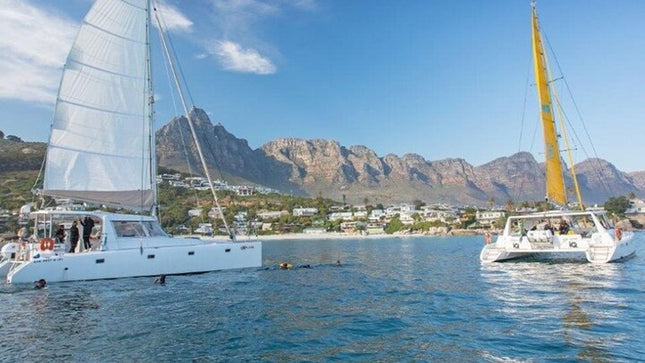 Midday Cruise in Cape Town