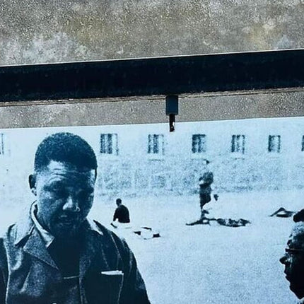 Robben Island Adventure with Pre-Booked Tickets Full Tour