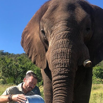 Elephant & Monkey Sanctuary Tour from Johannesburg