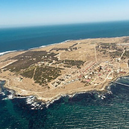 Robben Island, Kirstenbosch wine tasting Tour