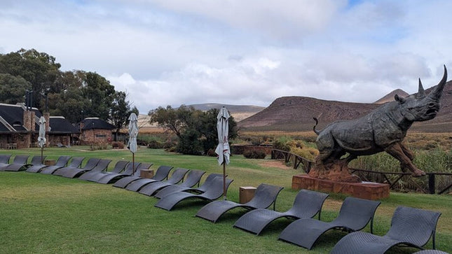 Aquila Afternoon Safari With Free Wine Tasting