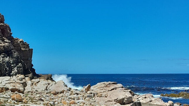 Cape of Good Hope Tour by Bus