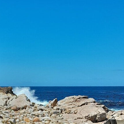 Cape of Good Hope Tour by Bus