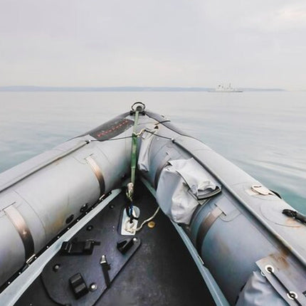 Combo Marine Wildlife Cruise & Cape Point Full Day Tour in CT