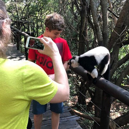 Elephant & Monkey Sanctuary Tour from Johannesburg