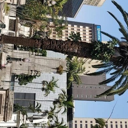 Durban Small-Group City Highlights Tour