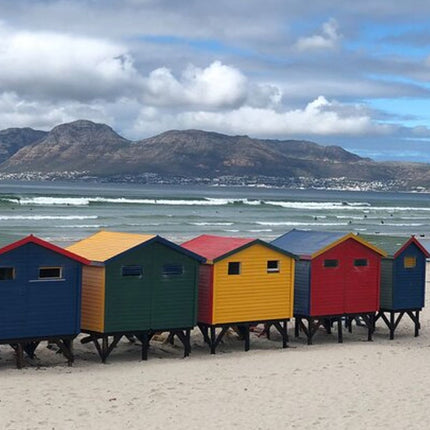 Cape Town and Cape of Good Hope Private Full-Day Tour