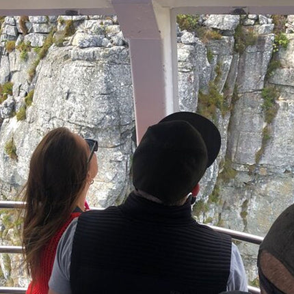 Cape Town and Cape of Good Hope Private Full-Day Tour