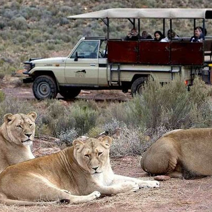 Sunset Big 5 Aquila Safari Snacks and Wine Tasting