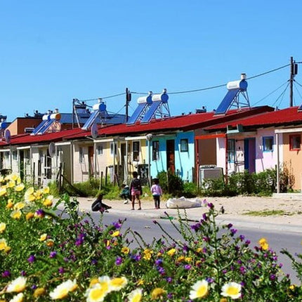Half-Day Township Tour from Cape Town