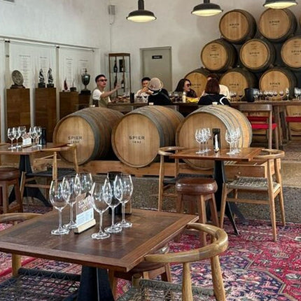 Aquila Afternoon Safari and Wine Tasting