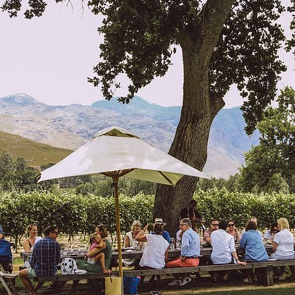 Franschhoek Hop-on Hop-off Wine Tram Experience from Cape Town