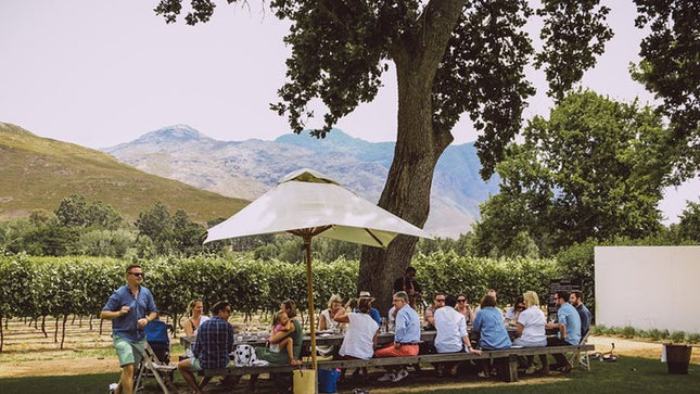Franschhoek Hop-on Hop-off Wine Tram Experience from Cape Town