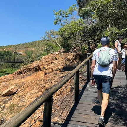 Elephant & Monkey Sanctuary Tour from Johannesburg