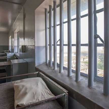 Robben Island Tour - Hotel Pick-Ups & stops at interesting places pre/post tour