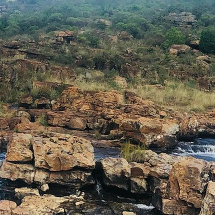 7 Days Kruger National Park Private Tour