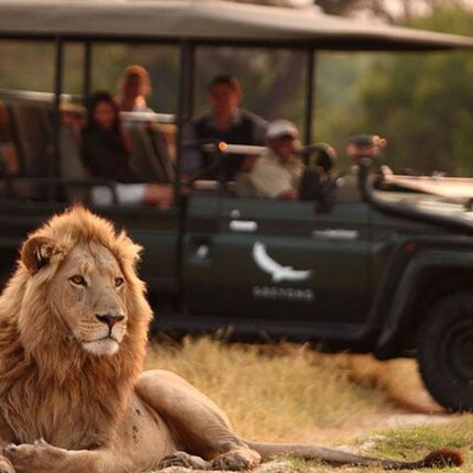 7 Days Safari - Isimangaliso, Hluhluwe & Drakensberg from Durban