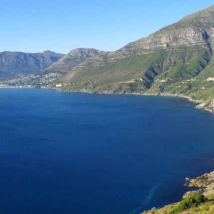 Half-Day Cape Peninsula Tour from Cape Town