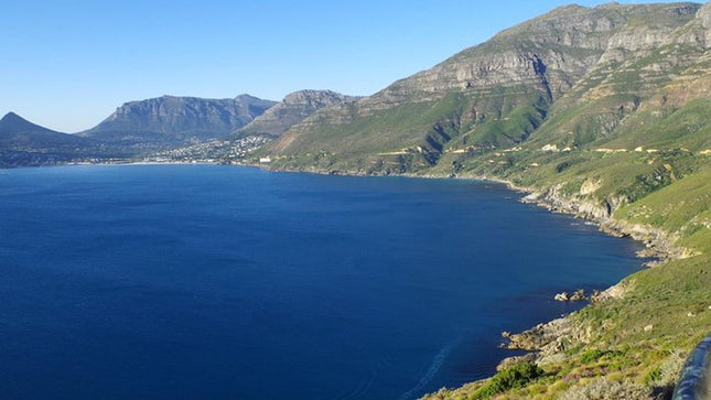 Half-Day Cape Peninsula Tour from Cape Town